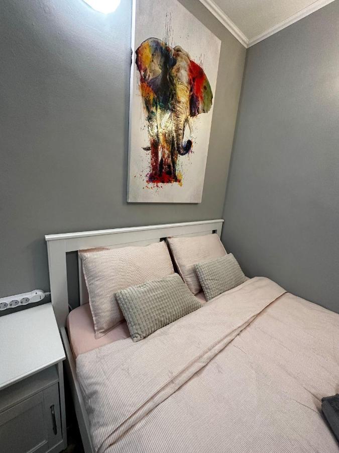 One Room Apartment Decebal Бухарест Екстер'єр фото
