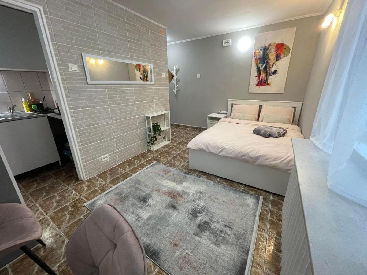 One Room Apartment Decebal Бухарест Екстер'єр фото