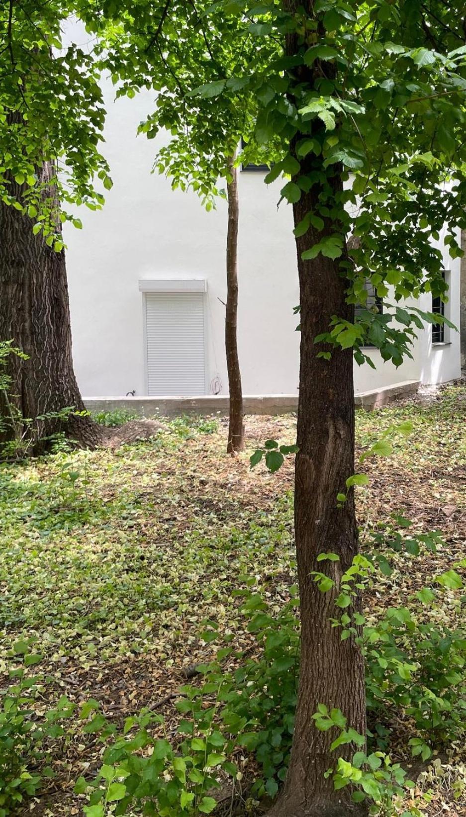 One Room Apartment Decebal Бухарест Екстер'єр фото